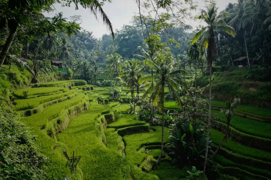 Cel podróży Indonezja - Kup eSIM Indonezja na mobilny internet