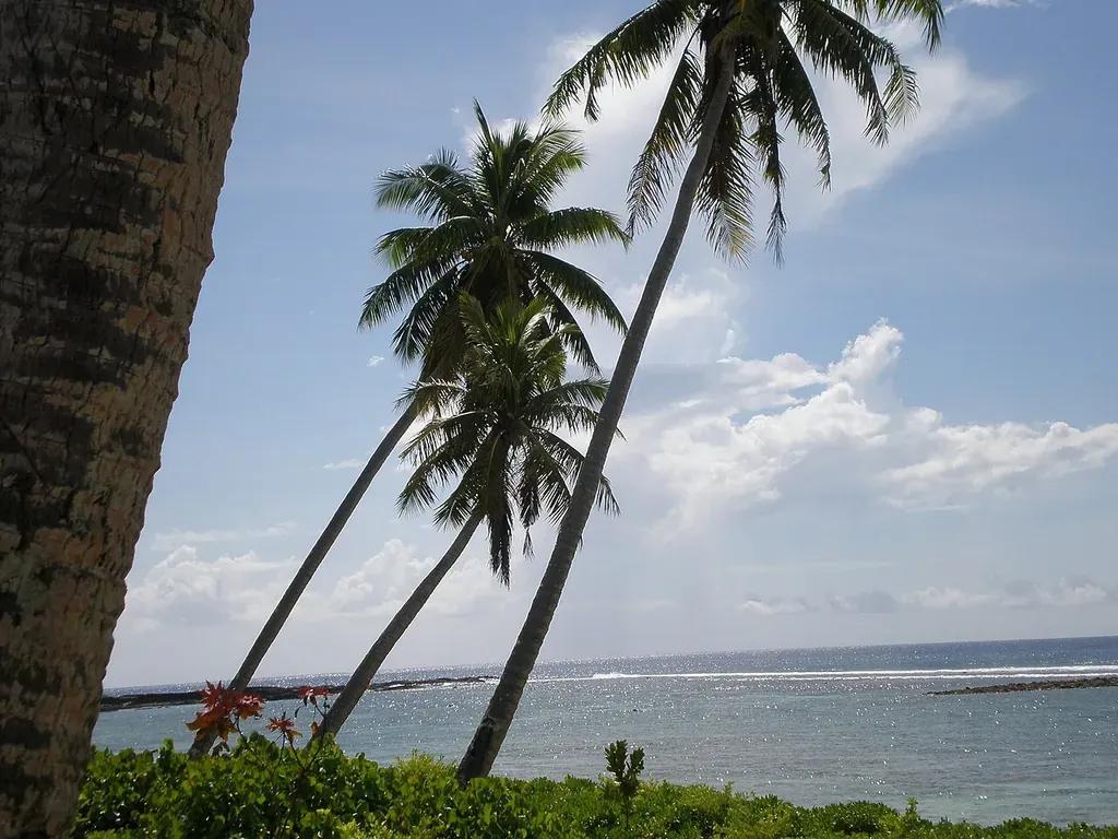eSIM Apia - Kup przedpłacone dane podróżne dla Apia, Samoa