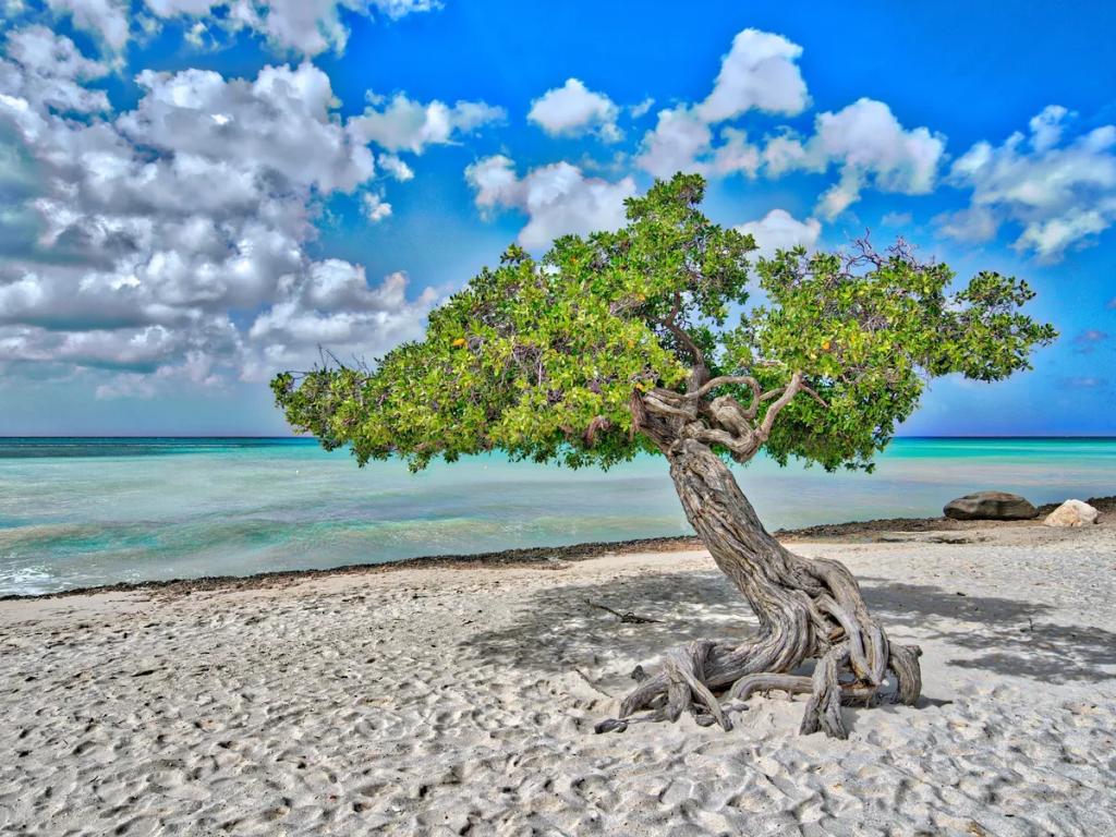 Cel podróży Aruba - Kup eSIM Aruba na mobilny internet