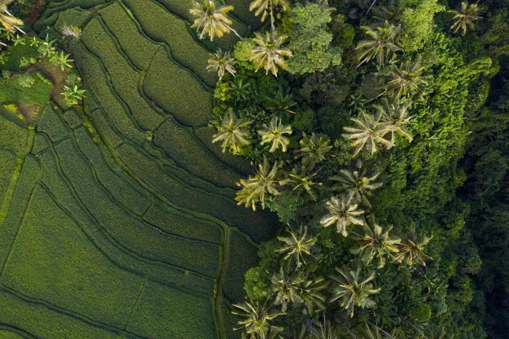eSIM Canggu - Kup przedpłacone dane podróżne dla Canggu, Indonezja