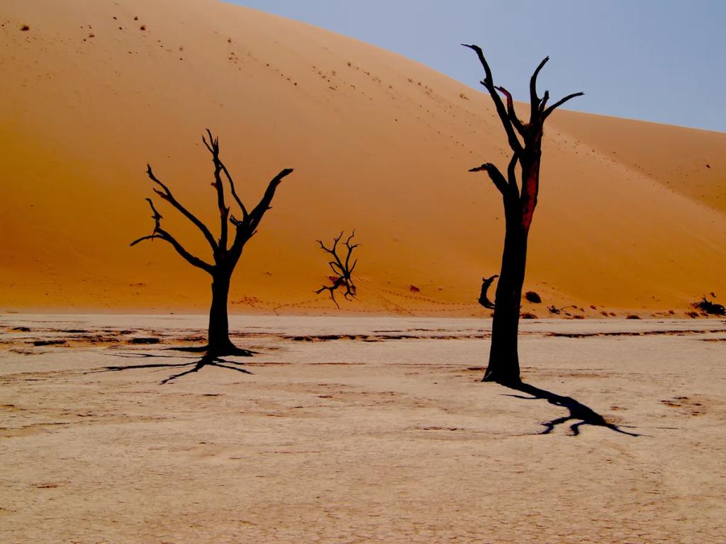 eSIM Swakopmund - Kup przedpłacone dane podróżne dla Swakopmund, Namibia