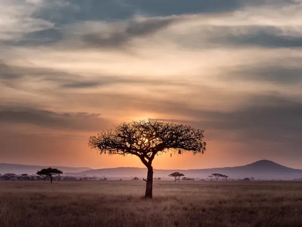 eSIM Arusha - Kup przedpłacone dane podróżne dla Arusha, Tanzania